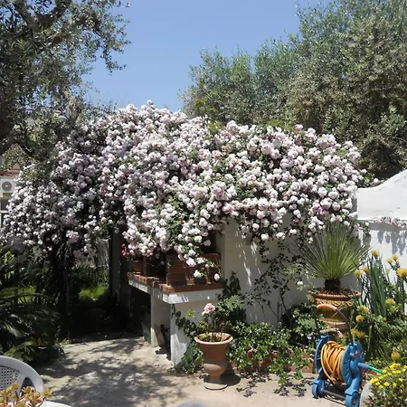 B&B La Rosa Antica-3